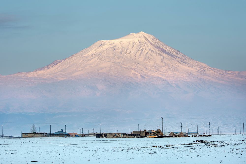 Ağrı — Medsam Sağlık Hizmetleri